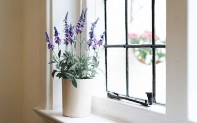 Beech House Dental Practice is built on solid reputation