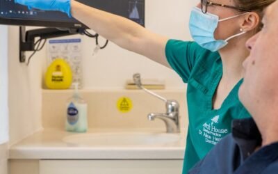 The Importance of Dental Check-ups